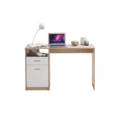 Bureau Neptunus^Huisenthuis Sale